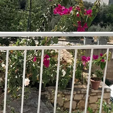 Sunny 아파트 Vlorë
